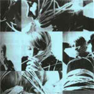 Cheapmachines / Family Battle Snake - Safeword / Negative Space Album
