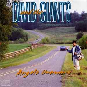 David & The Giants - Angels Unaware Album