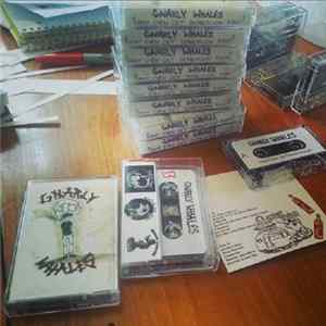 Gnarly Whales - I Can't Even Get Depression Right Album