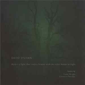 David Sylvian Featuring Franz Wright, Christian Fennesz - There's A Light That Enters Houses With No Other House In Sight Album