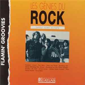 The Flamin' Groovies - Shake Some Action Album