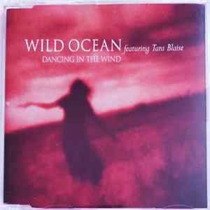 John Hughes - Dancing In The Wind Album