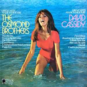 Unknown Artist - Great Hits Made Famous By The Osmond Brothers, David Cassidy Album