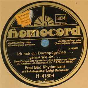 Fred Bird Rhythmicans Mit Refraingesang Luigi Bernauer - Ich Hab Ein Divanpüppchen... Genau Wie Du / My Golden Baby Album