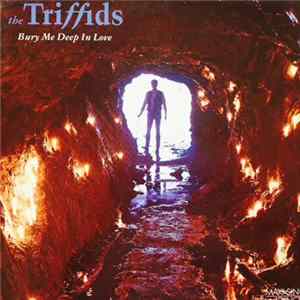 The Triffids - Bury Me Deep In Love Album