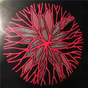 Wipers - The Circle Album