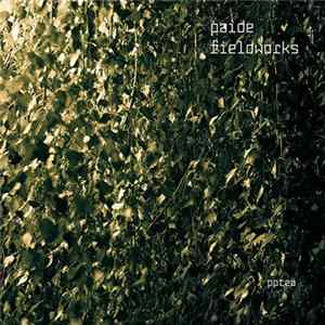 Paide - Fieldworks Album