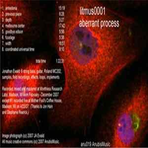litmus0001 - Aberrant Process Album