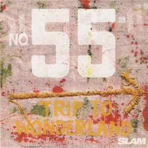 Various - CD Zur SLAM Ausgabe 55 Album
