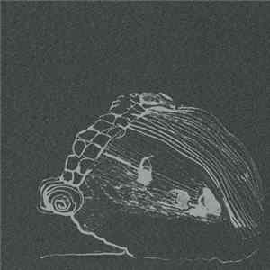 Yek Koo - Desolation Peak Album