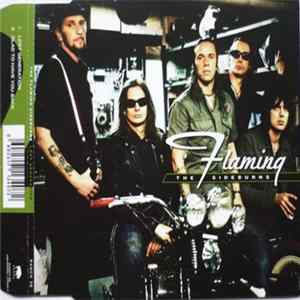 The Flaming Sideburns - Lost Generation Album