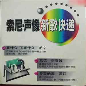 Various - 索尼·声像 新歌快递 No.2 Album