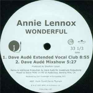 Annie Lennox - Wonderful Album