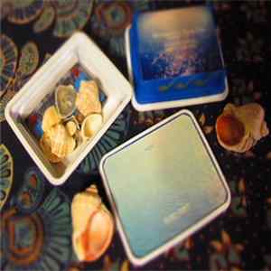o >o< - Oceanic Album