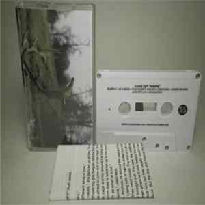 Sweet Talk - Wants Album