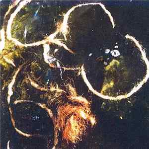 Colin L. Orchestra, Colin Langenus - Good God Album