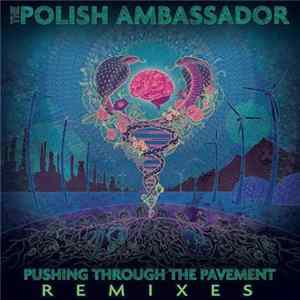 The Polish Ambassador - Pushing Through The Pavement Remixes Album