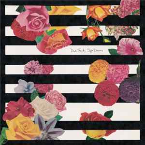 Dear Tracks - Soft Dreams Album