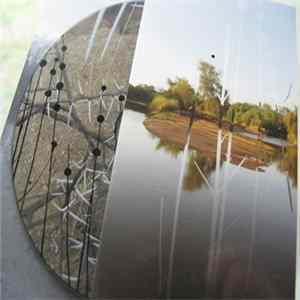 Artificial Memory Trace - Dawning Album