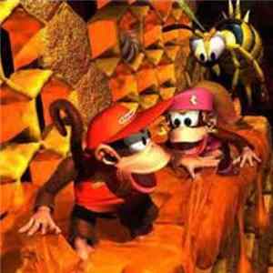 globetrotter - Donkey Kong Country 2 Album