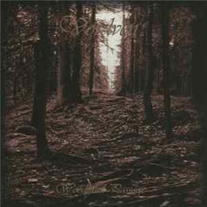 Vordven - Woodland Passage Album