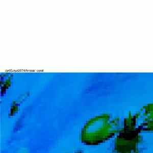 sys2074 - Ferosal Coral Album