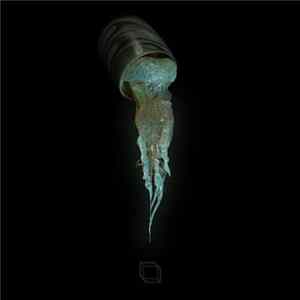 MM - MM EP Album