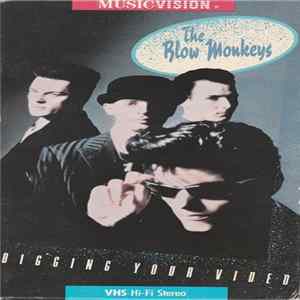 The Blow Monkeys - Digging Your Video Album