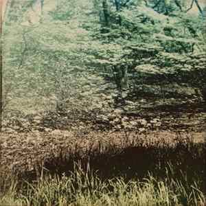 Cherokee Red, Heavy Blonde, Brian TV, Family Animals - Pennsylvania Sounds Vol. 1 Album