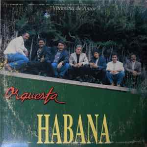 Orquesta Habana - Vitamina De Amor Album