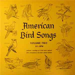 Professor A. A. Allen, Professor P. P. Kellogg - American Bird Songs - Volume Two Album