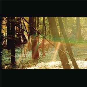 Childish Gambino - Camp Album