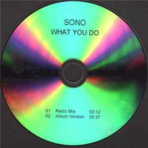 Sono - What You Do Album