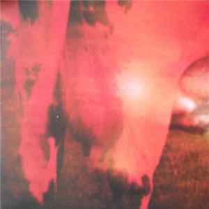 Jim O'Rourke - He Who Laughs Album