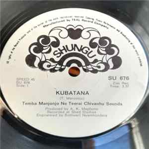 Temba Manjonjo Ne Teerai Chivanhu Sounds - Kubatana Album
