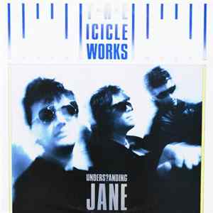 The Icicle Works - Understanding Jane Album