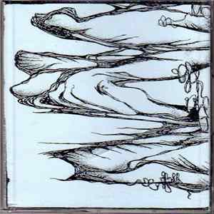 Common Eider, King Eider - A Drone In The Northern Sky Album