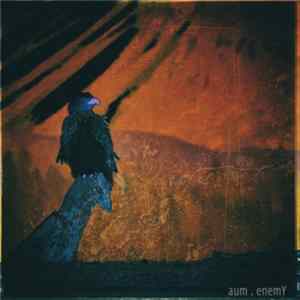 aum - Enemy Album
