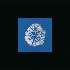 James Tillman - Silk Noise Reflex Album