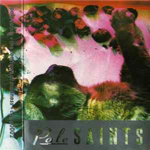 Pale Saints - The Comforts Of Madness Album