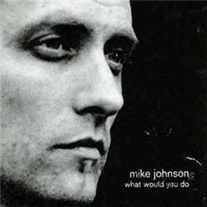 Mike Johnson - What Would You Do Album