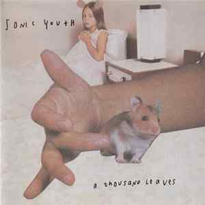Sonic Youth - A Thousand Leaves Album
