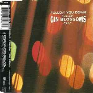 Gin Blossoms - Follow You Down Album