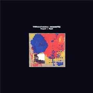 Vibracathedral Orchestra - Ragged + Right Album