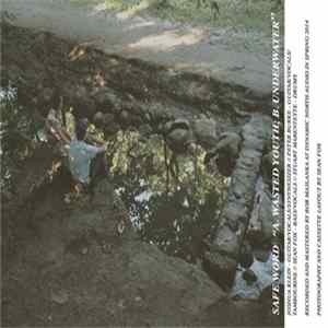 Safe Word - Wasted Youth Album