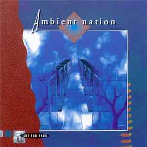 Various - Ambient Nation Album