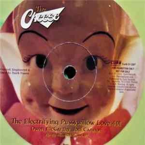 The Cheese - The Electrifying Pussywillow Love / Plastic Flowers Album