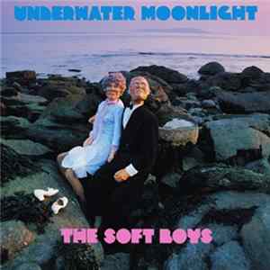 The Soft Boys - Underwater Moonlight Album