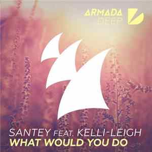 SANTEY Feat. Kelli-Leigh - What Would You Do Album