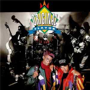 Original Flavor - This Is How It Is Album